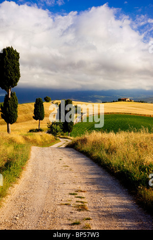 Feldweg führt zur Villa in der Nähe von Pienza Toskana Italien Stockfoto