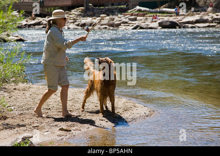 Frau warf einen Stock für ihre Golden Retriever Hund zu holen in den Arkansas River, Salida, Colorado, USA Stockfoto