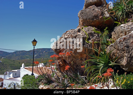 Blick über die Dächer von einem weißen gewaschenen Dorf (Pueblo Blanco), Frigiliana, Costa Del Sol, Provinz Malaga, Andalusien, Spanien. Stockfoto