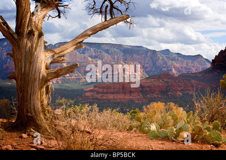 Ein Blick von der Flughafen-Wirbel in Sedona Arizona Stockfoto