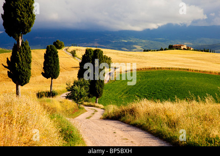 Feldweg führt zur Villa in der Nähe von Pienza Toskana Italien Stockfoto