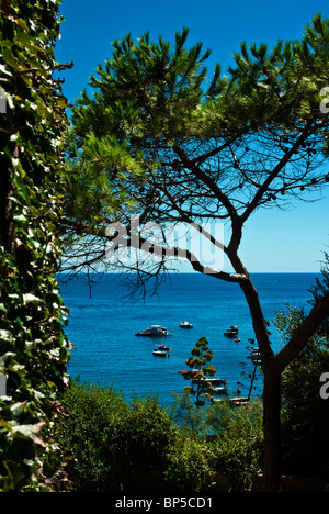 Giannutri Insel (Italien) Blick vom Hauptplatz zur Cala Spalmatoio mit Nachweis der mediterranen Vegetation und das Meer Stockfoto