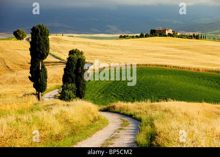 Feldweg führt zur Villa in der Nähe von Pienza Toskana Italien Stockfoto