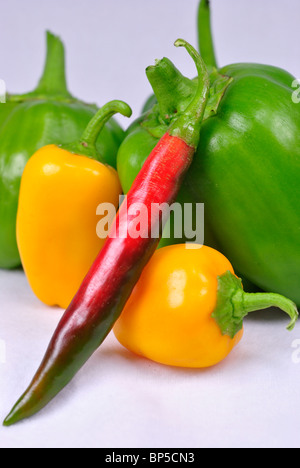 Verschiedene Arten von Paprika auf weißem Hintergrund Stockfoto