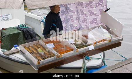 Frischer Fisch verkauft wird, von einem kleinen Boot auf Kauppatori Kai Markt Helsinki Finnland Stockfoto