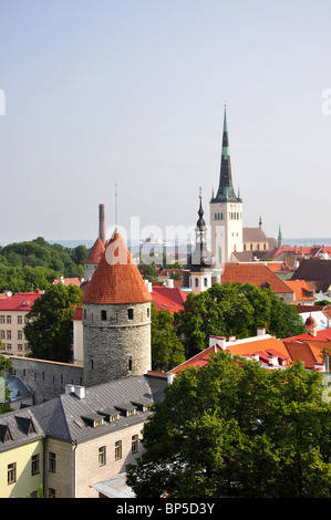 Anzeigen der alten Stadt von Wänden, Tallinn, Harjumaa, Estland Stockfoto