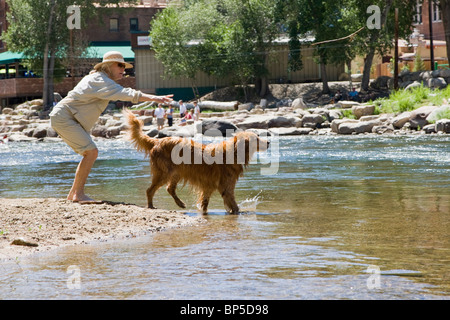 Frau warf einen Stock für ihre Golden Retriever Hund zu holen in den Arkansas River, Salida, Colorado, USA Stockfoto