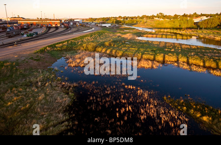 CP Rail Trainyard Moose Jaw Saskatchewan Sümpfe Stockfoto