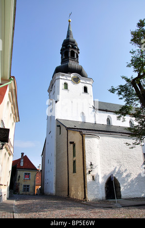 Maria Kathedrale, Altstadt, Tallinn, Harjumaa, Estland Stockfoto