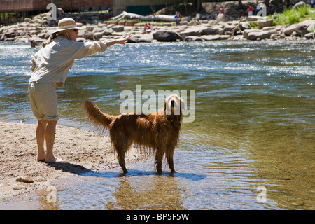 Frau warf einen Stock für ihre Golden Retriever Hund zu holen in den Arkansas River, Salida, Colorado, USA Stockfoto