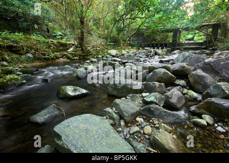 Cascade Wasserfall über moosige Felsen Stockfoto