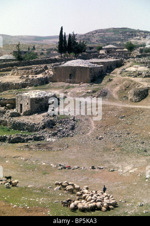 CAERMEL IN JUDÄA GESAMTANSICHT DES DORFES IN JUDÄA SÜDLICH VON HEBRON IDENTIFIZIERT MIT DER HEIMATSTADT DER MARINE DIE KARMELITIN, DIE Stockfoto