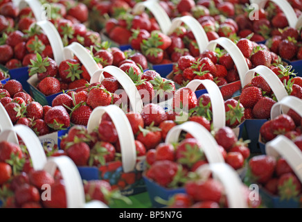 Eine Sammlung von Schalen mit frischem Bauern-Markt rote Erdbeeren Stockfoto