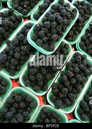Eine Sammlung von Schalen mit frischem Bauern-Markt Brombeeren Stockfoto