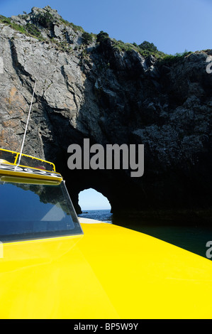 Blick auf die Insel Piercy, Loch im Felsen, New Zealand Stockfoto