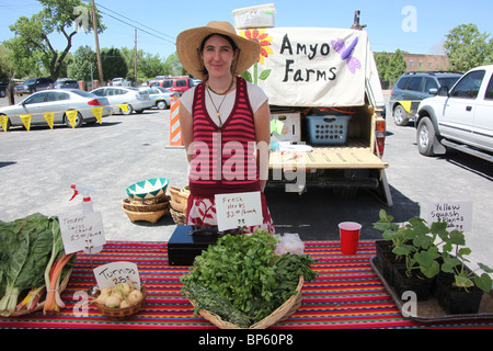 Frau Bauer aus Amyo Betriebe verkaufen Bio-Gemüse auf dem Bauernmarkt in Corrales, New Mexico, USA, 13. Juni 2010 Stockfoto