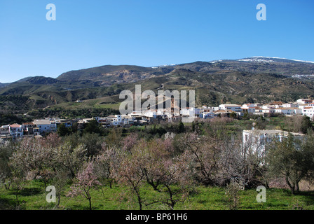 Ansicht der weiß getünchten Dorf, Las Alpujarras, Provinz Granada, Andalusien, Spanien, Cadiar, Westeuropa. Stockfoto