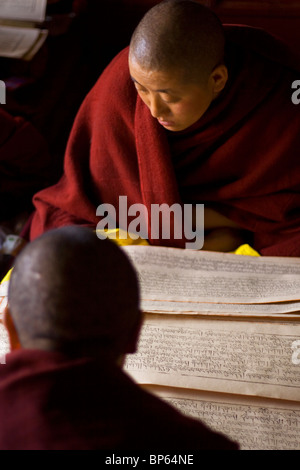 Nonnen in Aula, Chupsang Kloster, Lhasa, Tibet, China. Stockfoto