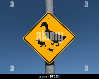 Duck Crossing Schild umrahmt von einem tiefblauen Himmel. Stockfoto