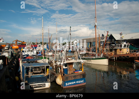 traditionelle Auster Jollen in Whitstable Hafen Kent England uk Stockfoto