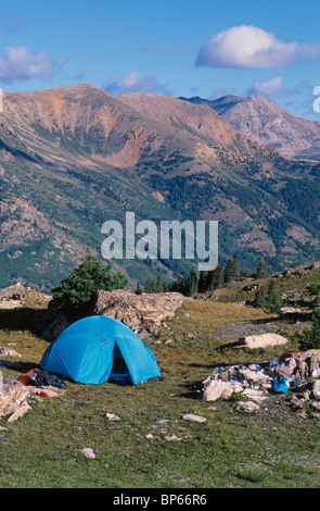 Zelten in den Collegiate Peaks Wilderness Gebiet, Colorado, USA. Stockfoto