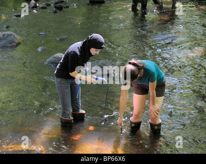 Weibliche Teenager Schülerinnen und Schüler mit einem digitalen Sensor um zu messen, gelösten Sauerstoff-Niveaus in einem Strom, Norden von New Jersey. Stockfoto