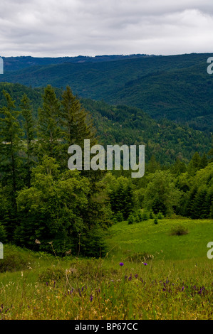 Mit Blick auf offenen Protokollierung landet in der Nähe von sechs Flüssen National Forest und Willow Creek, Kalifornien Stockfoto