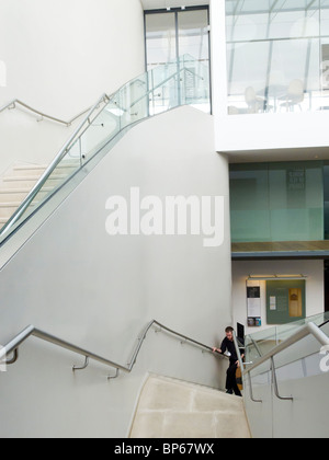 Der zentralen Atriumbereich The Ashmolean Museum in Oxford, England. Stockfoto