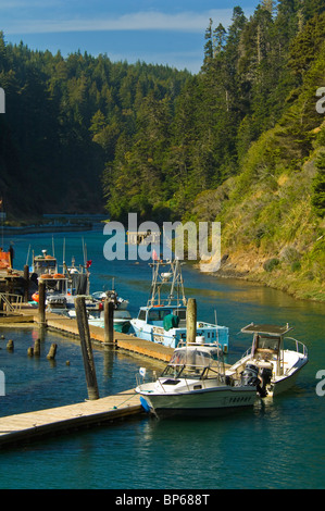 Angelboote/Fischerboote angedockt im Fluss Albion, Mendocino County, Kalifornien Stockfoto