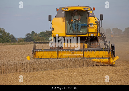 New Holland Mähdrescher ernten Weizen Feld Cotswolds UK Stockfoto