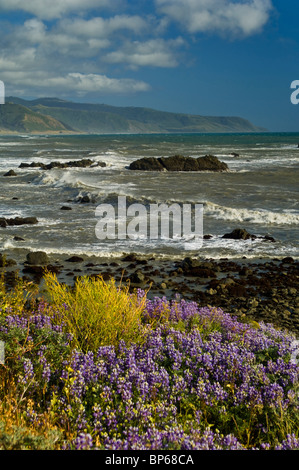 Windgepeitschte Wellen am Ufer entlang der Lost Coast in der Nähe von Cape Mendocino, Kalifornien Stockfoto