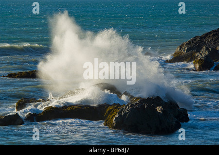 Wellen, die gegen die Küstenfelsen Shelter Cove an der verlorenen Küste, Humboldt County, Kalifornien Stockfoto