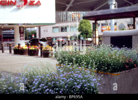 Blumenbeet auf der Ginza, Chuo, Tokyo, Japan Stockfoto