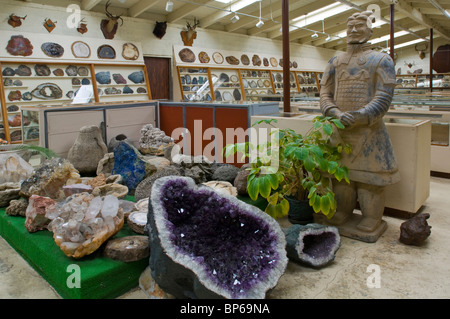 Amethyst und anderen Rock und Geologie Exemplare auf dem Display an Chapmans Gem & Mineral Shop & Museum Stockfoto