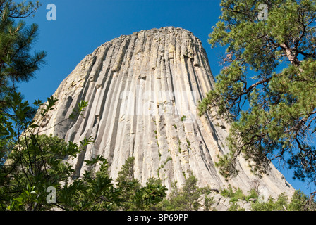 Ansicht des Devils Tower National Monument vom Turm Weg, um die Basis des Turms. Stockfoto