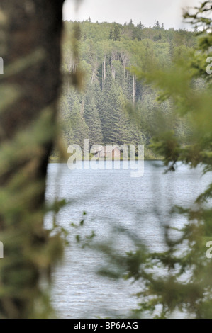 Grau-Eule-Kabine, Beaver lodge, Prince Albert National Park, Saskatchewan, Kanada. Stockfoto