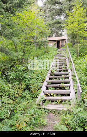 Treppe bis zum graue Eule Frau Kabine in Prince Albert National Park, Saskatchewan, Kanada. Stockfoto