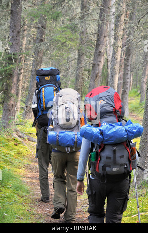 Rucksack im Prince Albert National Park. Auf die grau-Eule. Stockfoto