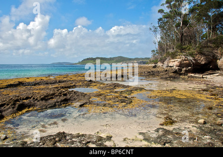 Rock-Pools Murray Beach Booderee Nationalpark Jervis Bay NSW Australien Stockfoto