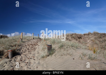 Nienty Mile Beach, Neuseeland Stockfoto