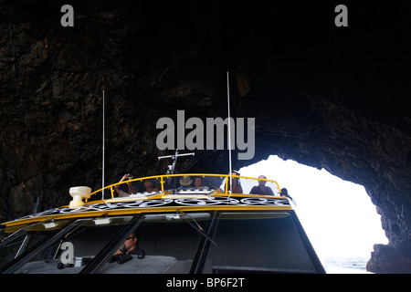 Blick auf die Insel Piercy, Loch im Felsen, New Zealand Stockfoto