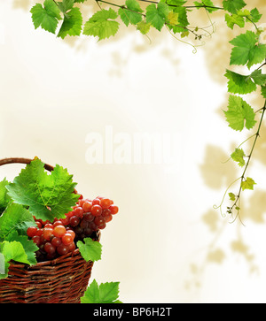 Wein Hintergrund mit rosa Trauben Stockfoto