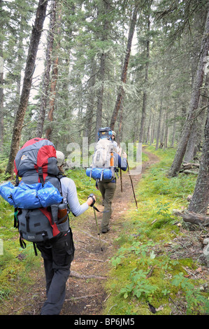 Rucksack im Prince Albert National Park. Auf die grau-Eule. Stockfoto