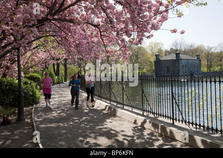 Läufer auf dem Stausee, Jogging-Pfad, Central Park, New York Stockfoto