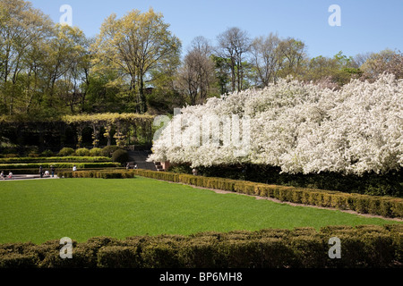 Der Wintergarten, Central Park, New York Stockfoto