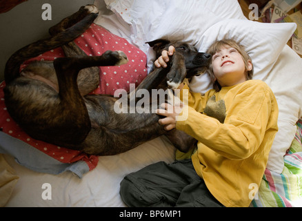 Ein Junge mit einem Hund auf einem Bett liegend Stockfoto