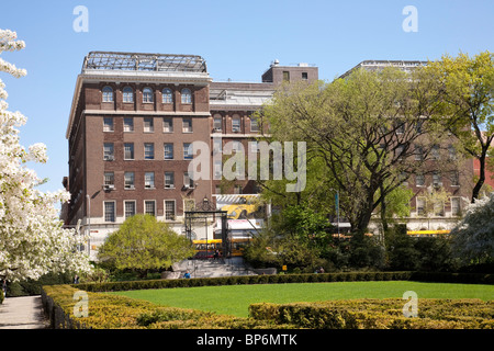 El Museo del Barrio, der Wintergarten, Central Park, New York Stockfoto