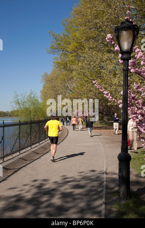 Läufer von Hinten auf den Behälter Joggingpfad, Central Park, NYC Stockfoto