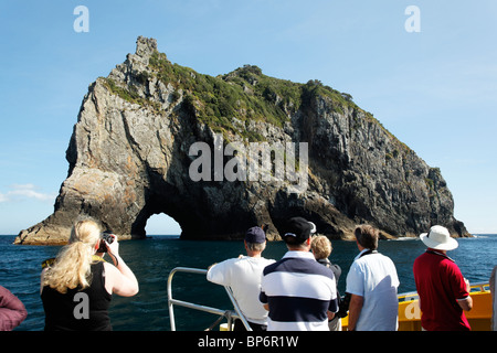 Blick auf die Insel Piercy, Loch im Felsen, New Zealand Stockfoto