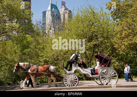 Pferd und Wagen, Central Park, New York Stockfoto